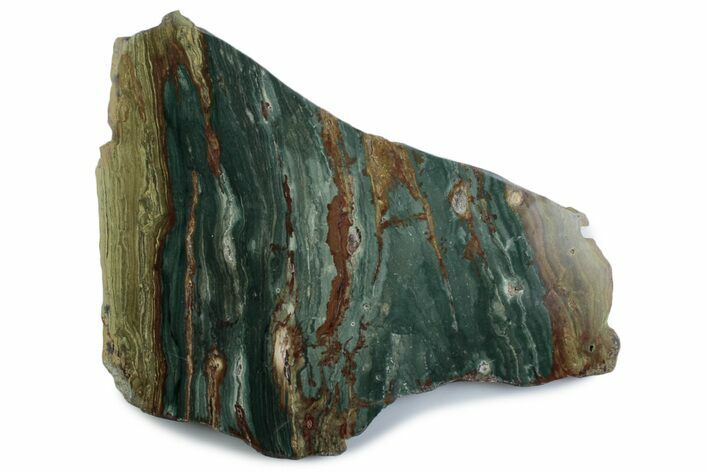 Gary Green Jasper (Larsonite) Bog Wood Slab - Oregon #377756